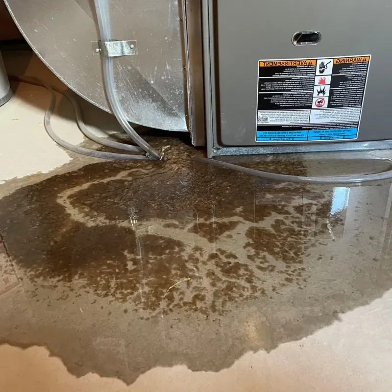 Pipe Burst and Leak Restoration in New Albany, IN