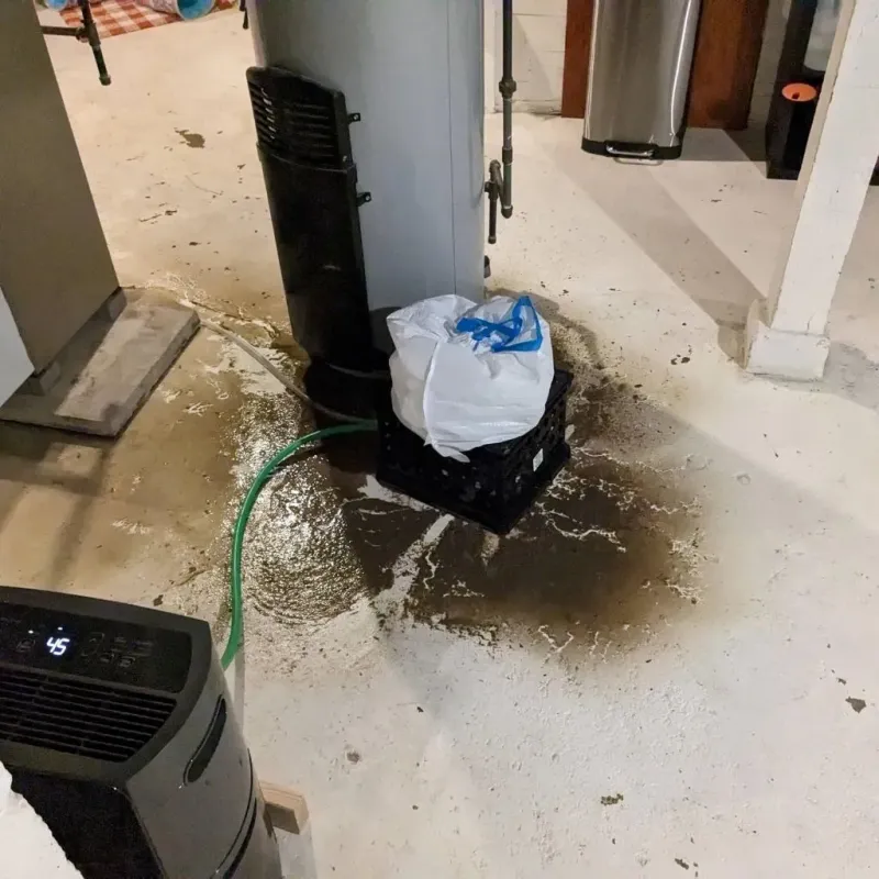 Sewage Backup Cleanup Service in New Albany, IN